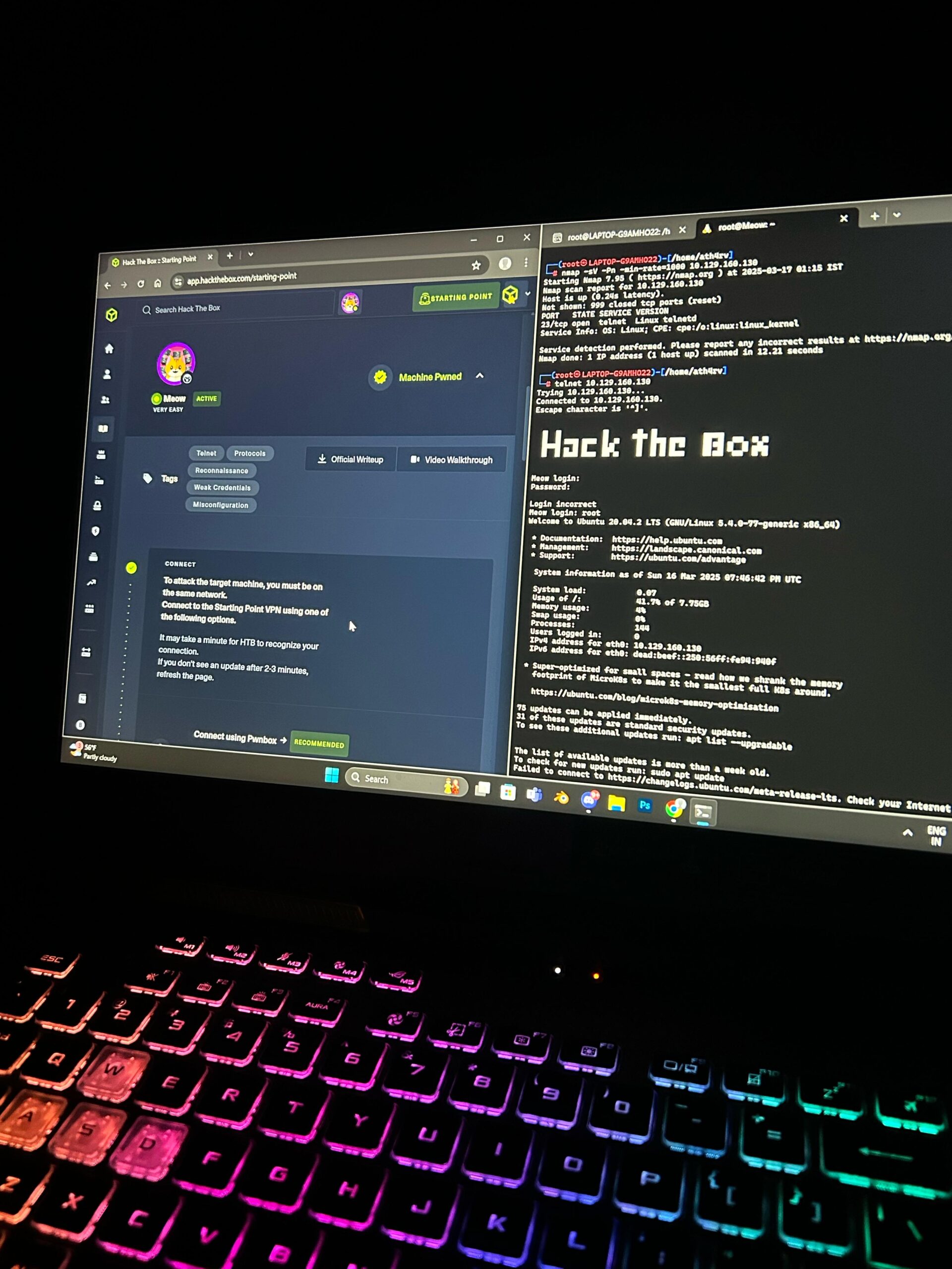 HTB Meow Machine – Easy Telnet Hack & CTF Walkthrough